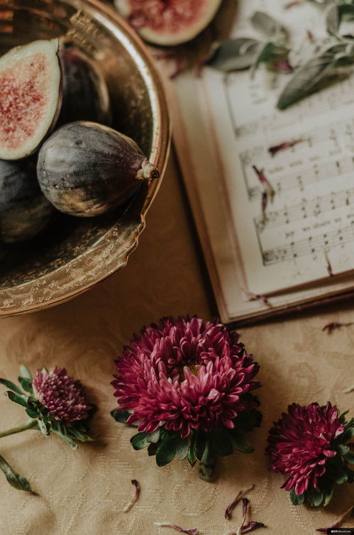 美食摄影 从植物到面包，胆结石患者的健康饮食图鉴